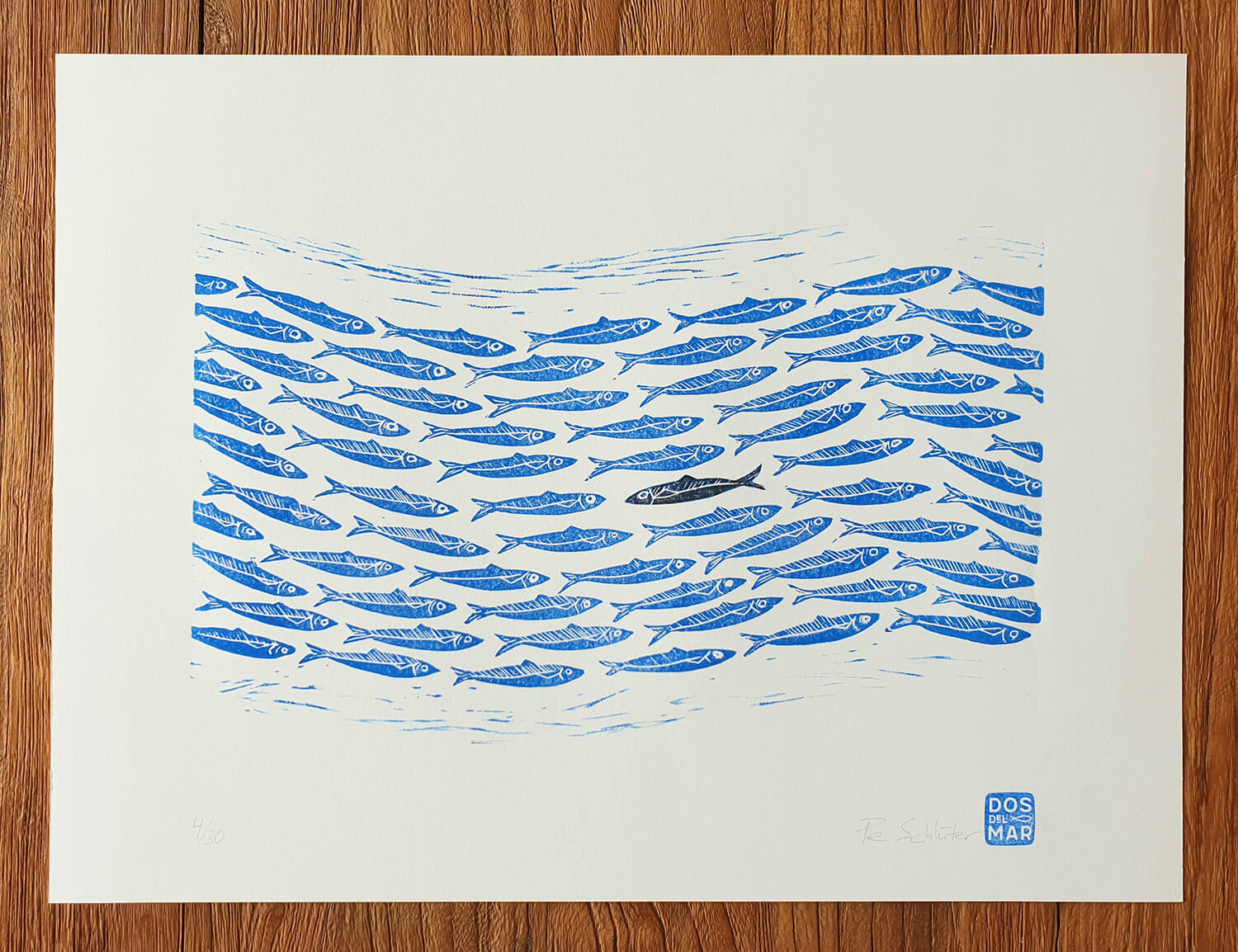 Fertiger Linoldruck/Kunstdruck: Sardinenschwarm, Fische, Sardinen, Meer